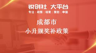 成都市小升規(guī)相關(guān)配套獎(jiǎng)補(bǔ)政策
