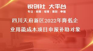 四川天府新區(qū)2022年降低企業(yè)用能成本項目申報補助對象獎補政策